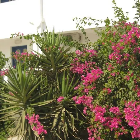 Apartmán Aronis Naxos