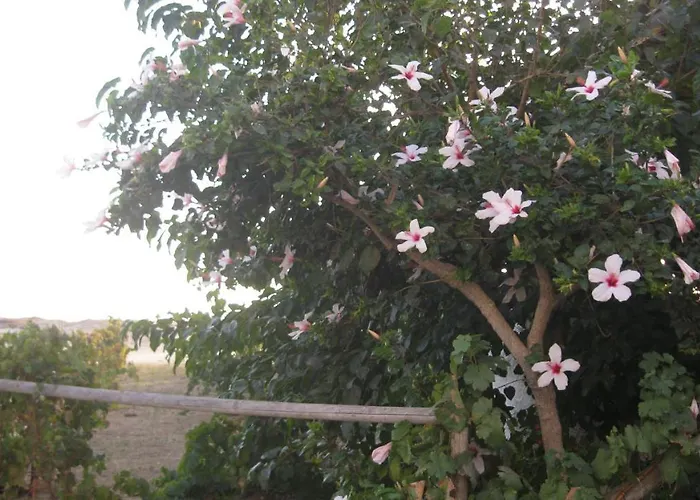 아파트 Aronis Naxos Pláka