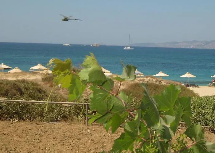 Aronis Naxos 아파트