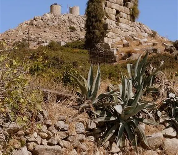 Aronis Naxos 아파트 Pláka