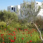 Apartment Aronis Naxos