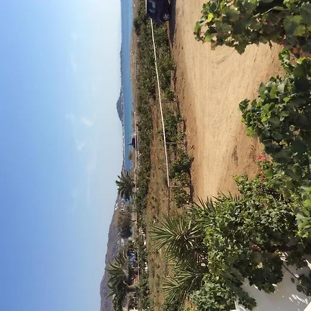 Aronis Naxos *
