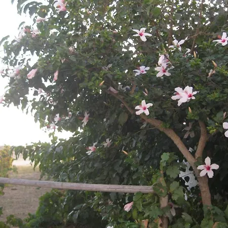 公寓 Aronis Naxos Pláka