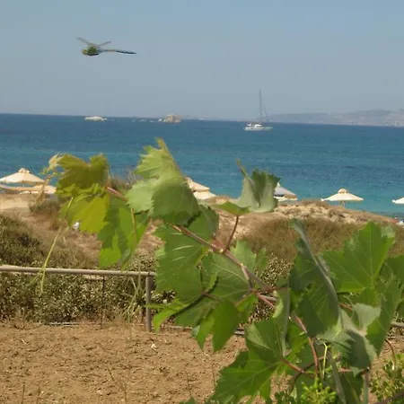 Aronis Naxos Apartman